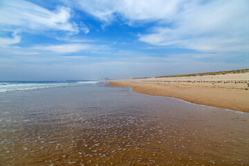 Beautiful beach in Aveiro