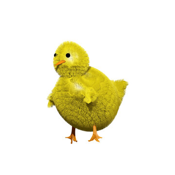 Baby chicken on white background. 3D render illustration.