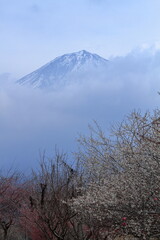 There is spring haze