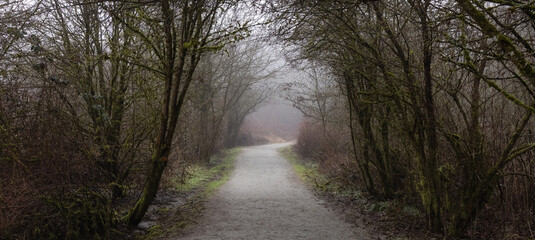 Fototapeta na wymiar Path in the Canadian rain forest with green trees. Early morning fog in winter season. Tynehead Park in Surrey, Vancouver, British Columbia, Canada.