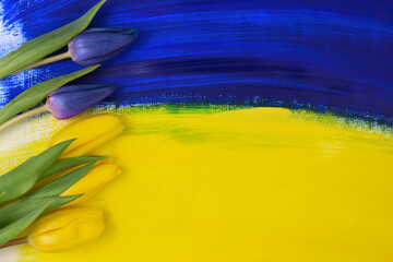 Abstract painted flag of Ukraine with blue and yellow tulips flower stock images. Russian invasion...