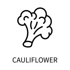 Line Icon Cauliflower In Simple Style. Vector sign in a simple style isolated on a white background. Original size 64x64 pixels.