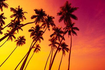 Coconut palm trees silhouettes on tropical beach at sunset