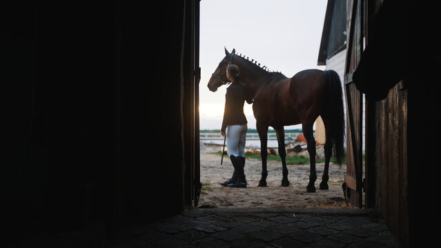 a young beautiful woman and a brown horse stand facing away from the stable and entering it. High-quality photo