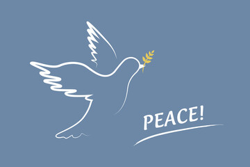 white peace dove on blue background stop war