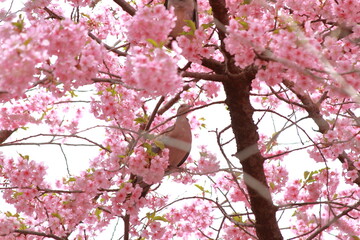 Spring is just around the corner