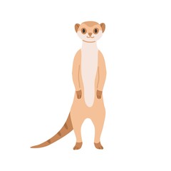 Meerkat from African savanna. Cute smiling suricate. Wild exotic small Suricata suricatta. Tropical habitant standing on hind legs. Flat vector illustration isolated on white background