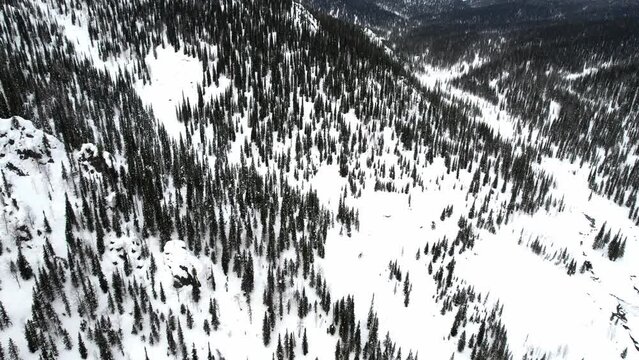 Severe taiga from a bird's eye view