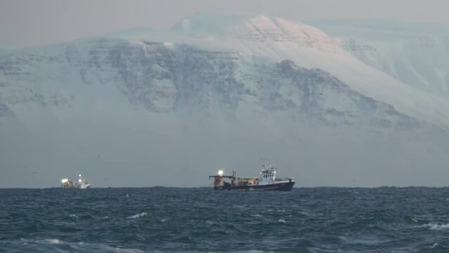 Icelandic fishing trawlers rough water under snowy mountains close