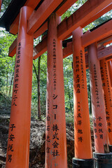 shrine in kyoto