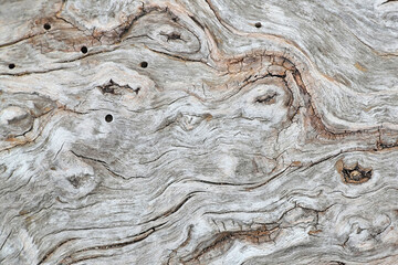 Silky beach wood texture