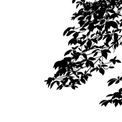 樹木・植物の枝と葉っぱのシルエット　ラスター素材