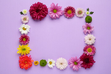 Fototapeta premium Frame made of beautiful chrysanthemum flowers on violet background, flat lay. Space for text