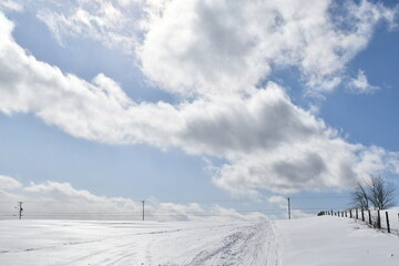 A snowmobile trail under a cloudy sky, Sainte-Apolline, Québec, Canada