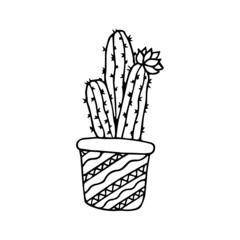 Hand drawn doodle cactus. Vector succulent in pot. Houseplant. Outline.