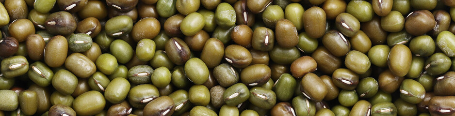 Green beans, Close up mung beans background