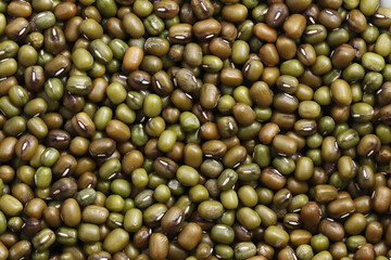 Green beans, Close up mung beans background