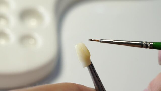 a dental technician paints a ceramic crown with a brush and dental paints in natural shades