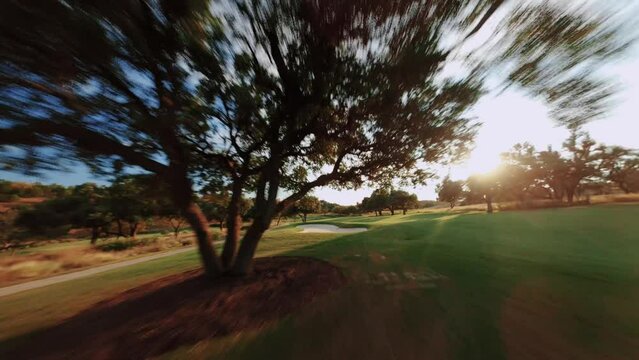 Aerial flyover of green Texas golf course as deer cross fairway during beautiful sunset on country club par 5 hole, golden hour 4k FPV drone