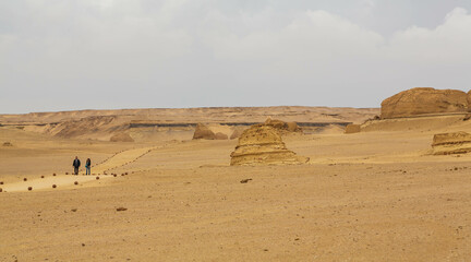Fototapeta na wymiar Valley of the Whales or Wadi Al-Hitan. Paleontological site in the Faiyum Governorate of Egypt