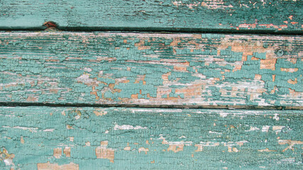 Old wooden board texture for wallpaper or background. Tree background with copy space for text. board with old green paint