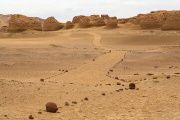 Valley of the Whales or Wadi Al-Hitan. Paleontological site in the Faiyum Governorate of Egypt