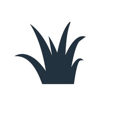 Vector grass icon in trendy flat style isolated on white background.  Grass symbol for your website design, logo, app, UI.  Vector illustration.