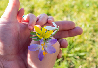 Kind und Eltern haben Blumen im Frühling in der Hand
