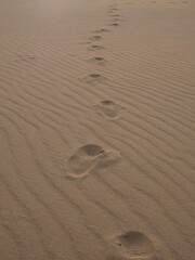 Fototapeta na wymiar 砂漠の風紋の上についた足跡の写真
