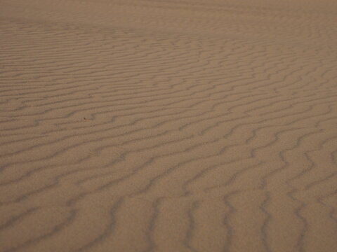 鳥取砂丘の風紋の写真