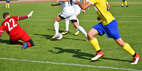Soccer players in action summer time © majorosl66