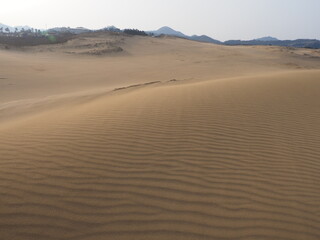 Fototapeta na wymiar 一般的な砂漠のイメージ写真