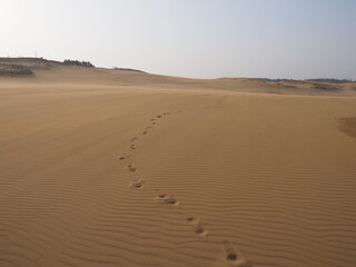 Fototapeta na wymiar 砂丘の遠くに続く一人の足跡