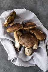 Porcini. Big mushrooms on a concrete background. White mushrooms close up. 