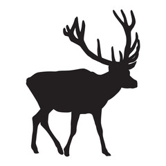 black deer, vector 