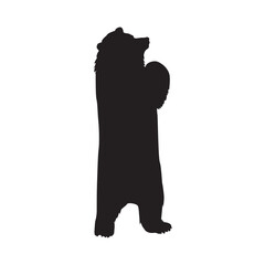 silhouette of bear