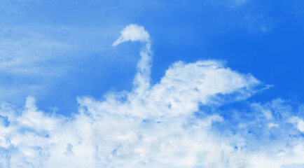 Swan-shaped cloud
