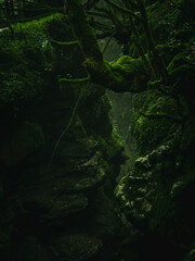 Martvili canyon in Georgia.