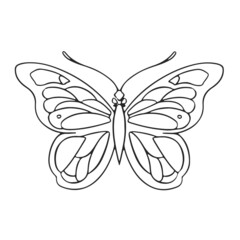 Thin linear butterfly monochrome   illustration