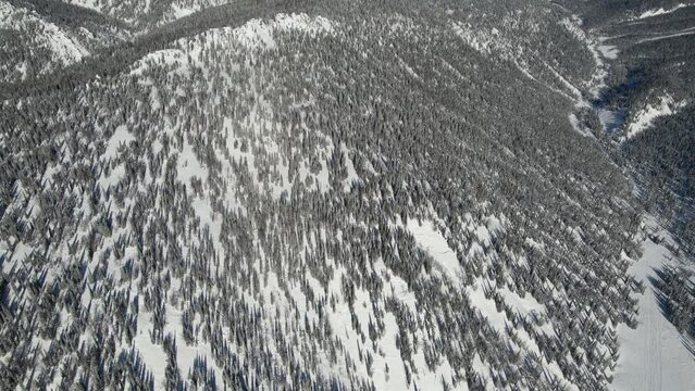 Scandinavian mountains and forests from a great height