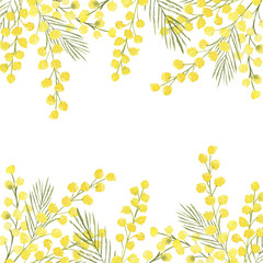Watercolor hand drawn banner with spring tender flowers frame - yellow mimosa on the white background. For textile, wallpaper, wrapping paper, march, easter, card, linen.