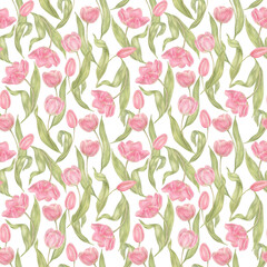 Watercolor hand drawn flowers tulips seamless pattern. Spring Botanical illustration. For background, greeting cards, invitation, birthday and mothers day, linen, wrapping paper, wallpaper, textile.