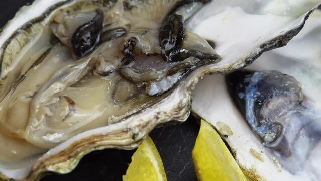 Romarinka open oyster with a slice of lemon rotates on a black background, seafood, fresh clam in a shell breathes. Healthy food and sea delicacy