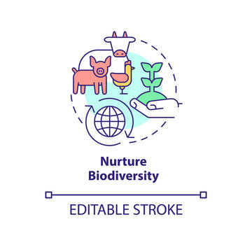 Nurture biodiversity concept icon. Production of farm. Shift to regenerative culture abstract idea thin line illustration. Isolated outline drawing. Editable stroke. Arial, Myriad Pro-Bold fonts used