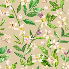 Watercolor hand painted citrus orange flowers and branches.  Watercolor hand drawn seamless pattern, wallpaper, wrapping paper, aromatherapy, essential oils