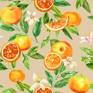 Watercolor hand painted citrus orange, grape fruits, flowers and branches.  Watercolor hand drawn seamless pattern, wallpaper, wrapping paper, aromatherapy, essential oils