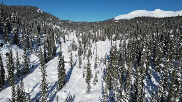 Snowy mountains in sunny weather
