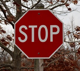 A close view of the red and white stop sign.