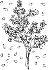 Naklejka premium Branch of Cherry blossom on white.Vector illustration Sakura Flower,Nice Peach blossom isolated vector.Japanese floral.Nature background with blossom branch of sakura flower vector.Gold line apricot.