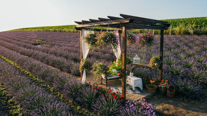 Decorative summer house on a field of purple lavender flowers planted in a row